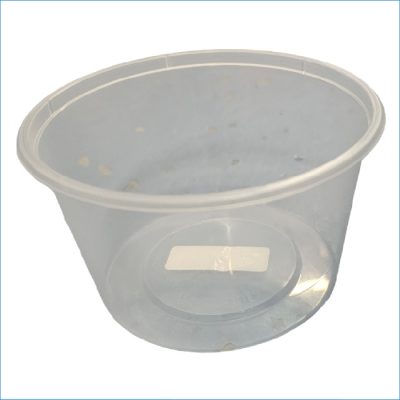 CUP - PLAIN 600ML WITH LID (NO MEASURE)